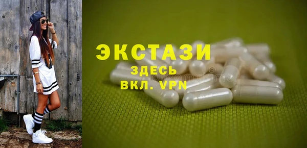 гашик Алексин