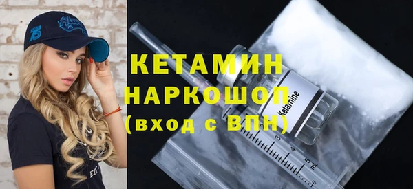 гашик Алексин