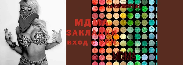 гашик Алексин