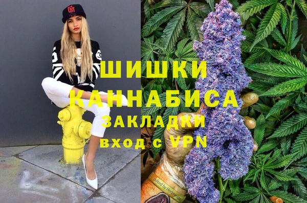 тгк Алзамай