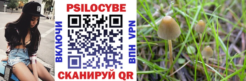 Галлюциногенные грибы Cubensis  что такое наркотик  Ахтубинск 